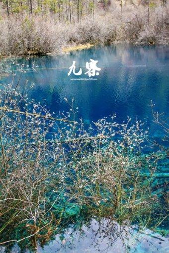 可爱奥莉甜美夏装