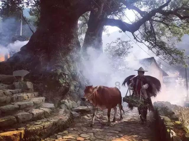 寂静岭3